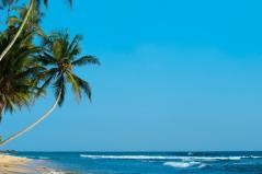 Rejseguide derfor boer du opleve Sri Lanka
