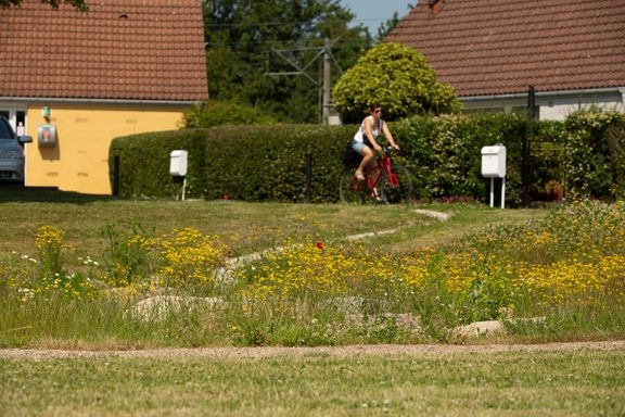 Klimasikring i boligomraader kraever dialog og fleksibel planlaegning